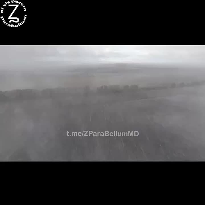 ���� ��� ������������� ������������ ��������, �������� ������������ ��������� ����˻ � ���������� � ������������ �����������: �����������, �����, �������, ����������
