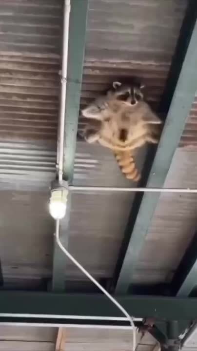 ������ ����, ������! �������� ��� ��� � ��������� ����������!
