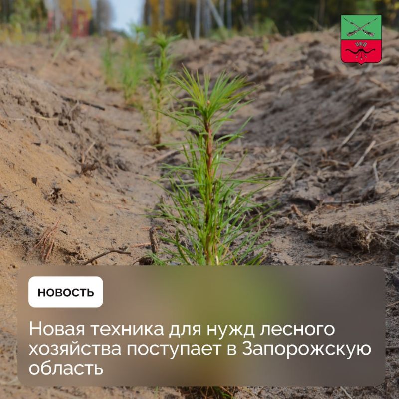 В Запорожской области модернизируется лесное хозяйство