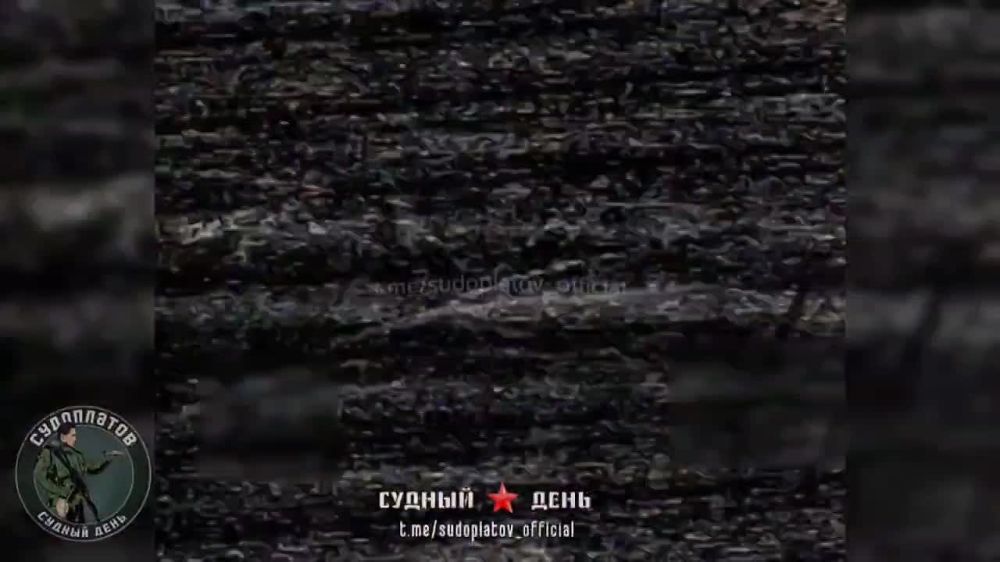 FPV-������ ������ ���� ������� ���������� ������� ��� �� ���������� �����������