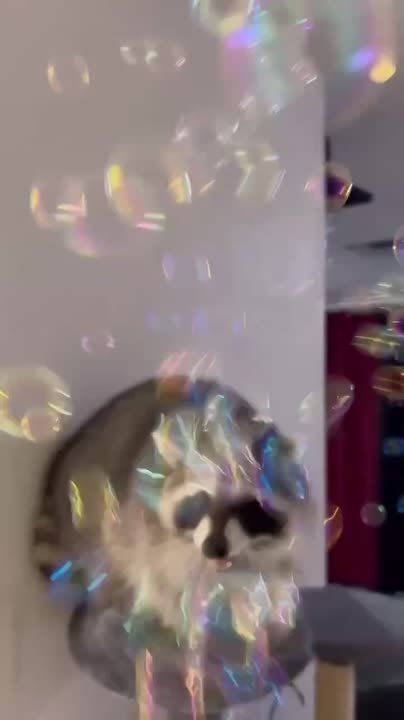������ ����, ������! �������� ��� ��� � ��������� ����������!