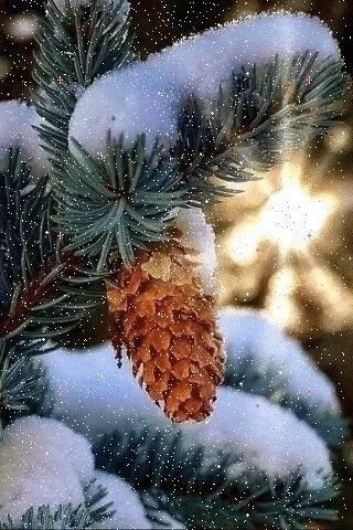 � ������ ����� ����!
