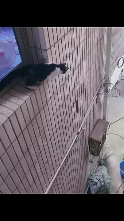�������, � ����� ������ ������