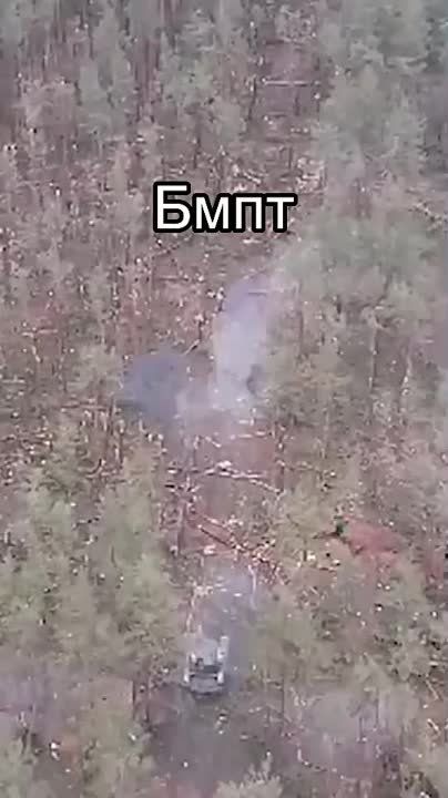 ����� ������ ���� ����������� �� �� �� ���������� � ���� ���������� ���