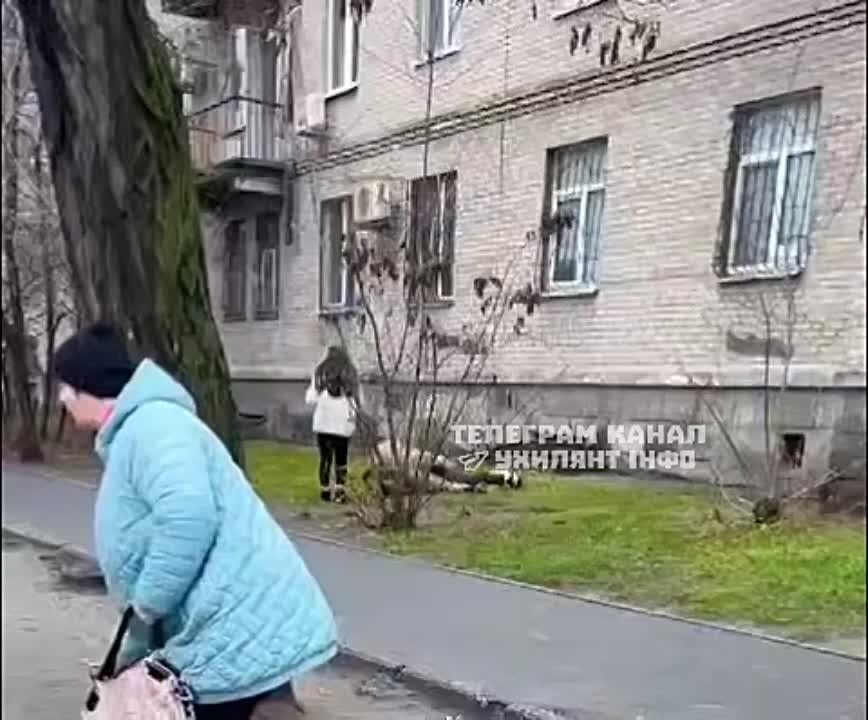 ��� �������� � ��������������� ������������ ����������� �������� ���������