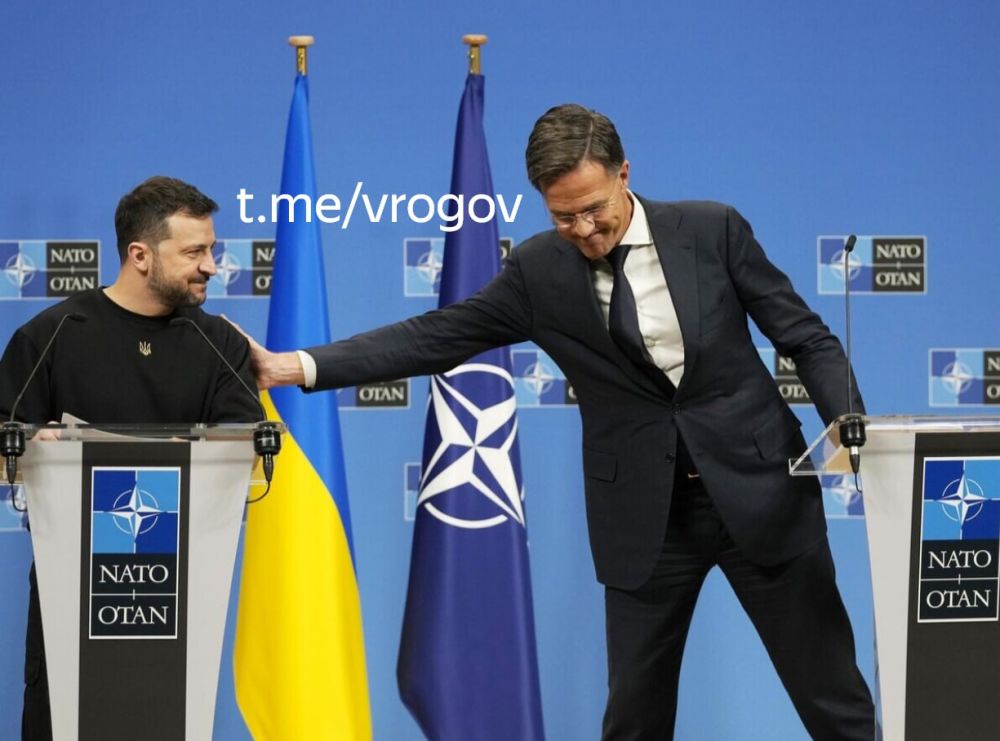 �������� �����: ��������� ��� ����, ��� �������� �� ������ ������������ � �������