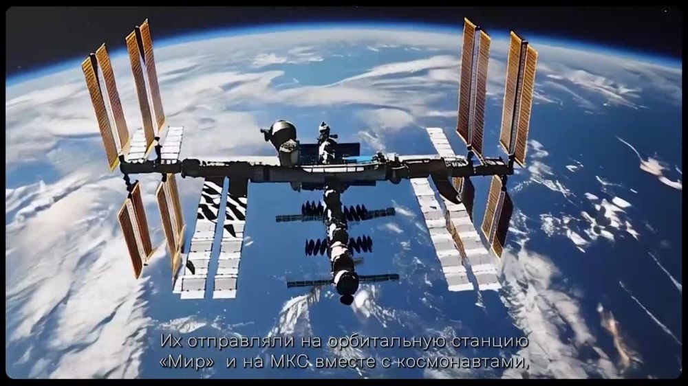 �������, 12 ������� � ����� ������ ���������� ���� ����������� ���������� ���������