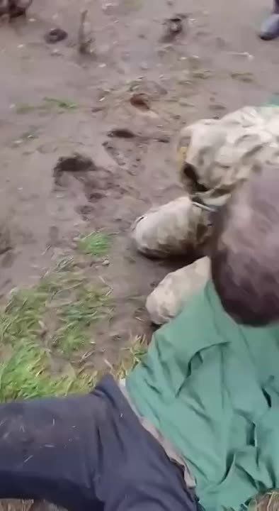 ��������� ���������, �������� ����������� �� ����� ����������� ������ ������������ � ���� ���