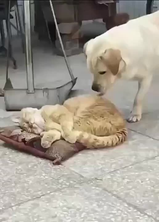 ��� � �������� ��������� ������� ���� ���� ������