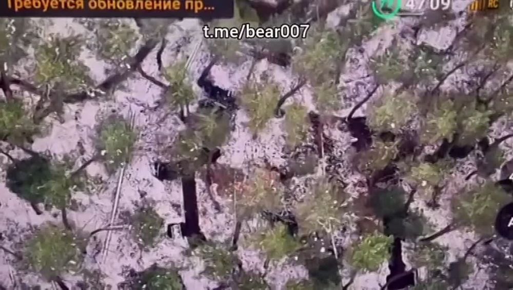 ������������ ����� ����������� ���������� �������� � ������� �������