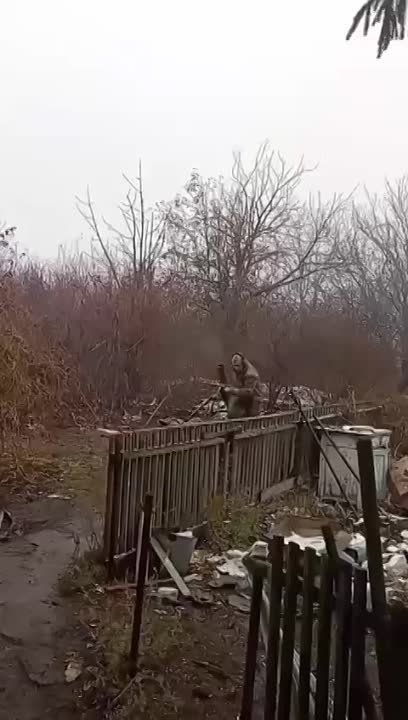 ��������� ����� ���������� ���������� ��������� ��� �������������� ������������, �������� ��� ��������� � ��������������