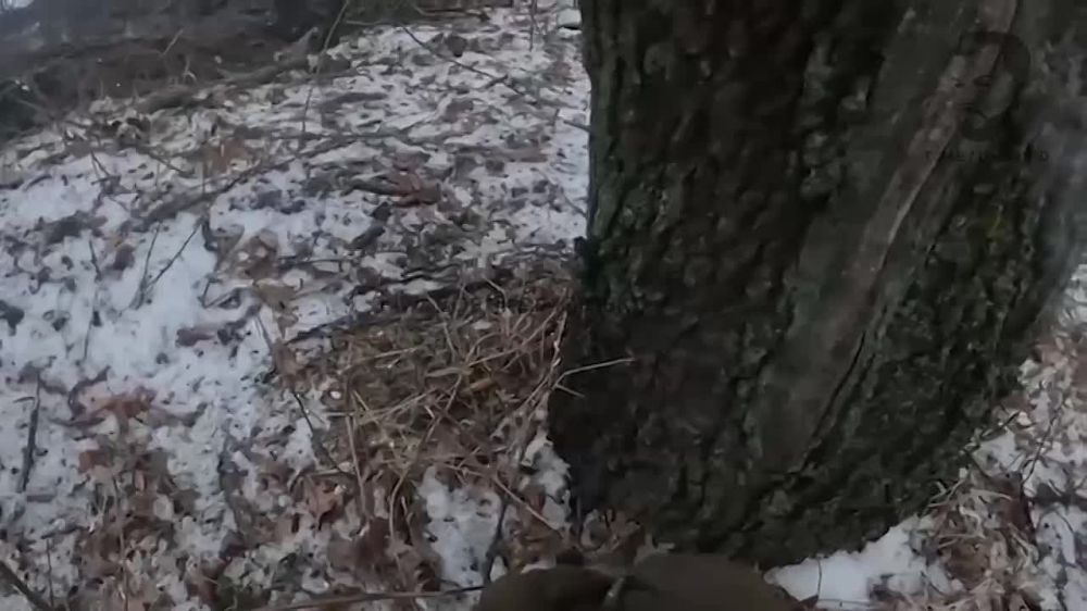 ����� �� 11-�� ������� ��� �� ����� ������ ������� ����������