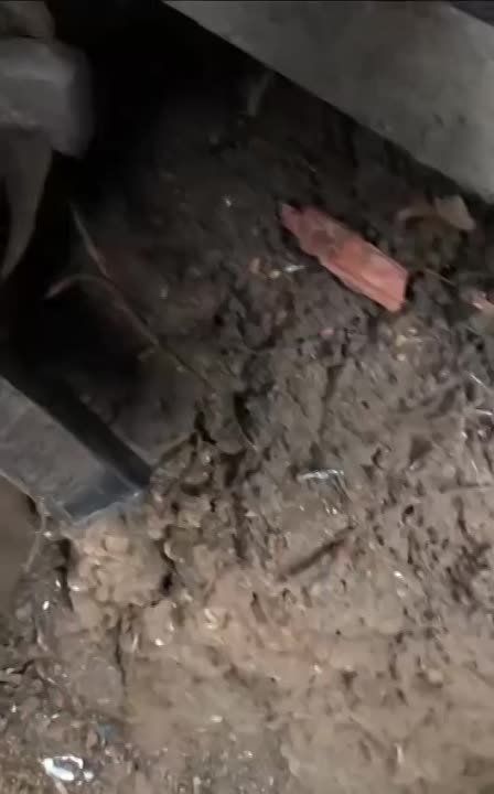 ������ ������� �� ������� ��� �� ���� ����������� ���������������