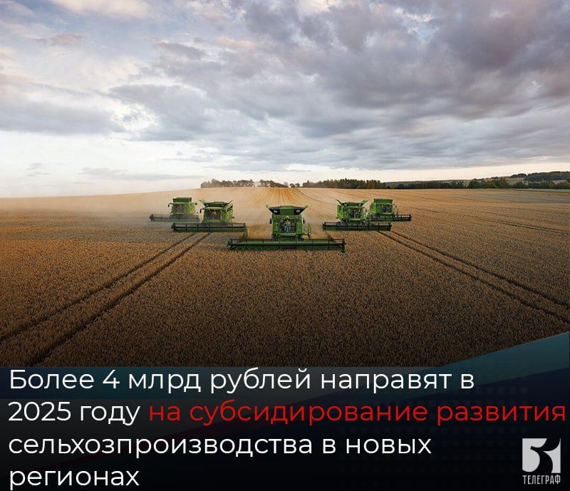 Более 4 млрд рублей будет направлено в 2025 году на субсидирование развития сельскохозяйственного производства в новых регионах