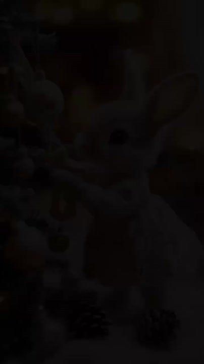 ������������ �� ���������� ��� ����� �����������