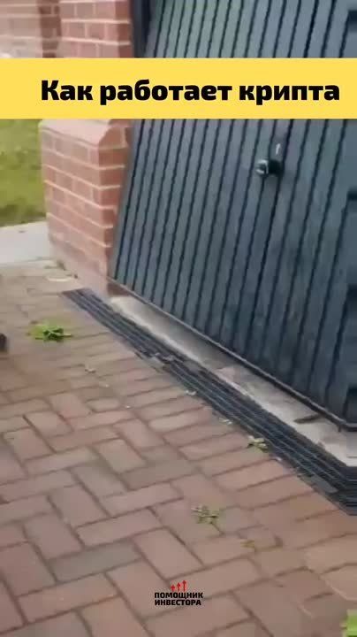 ��������� ������������ ���� ���� ����������
