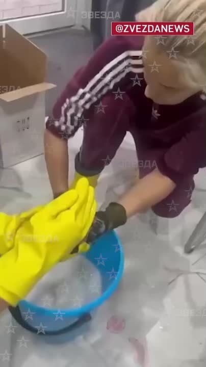 ������ �������������� ���� ������� ����, �������� � ����� ����� �������� ���� �������� �����������