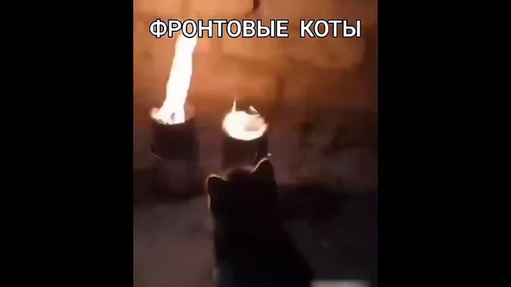 "��������� ���� "- ����� ���� �� �� � �������� "�������"