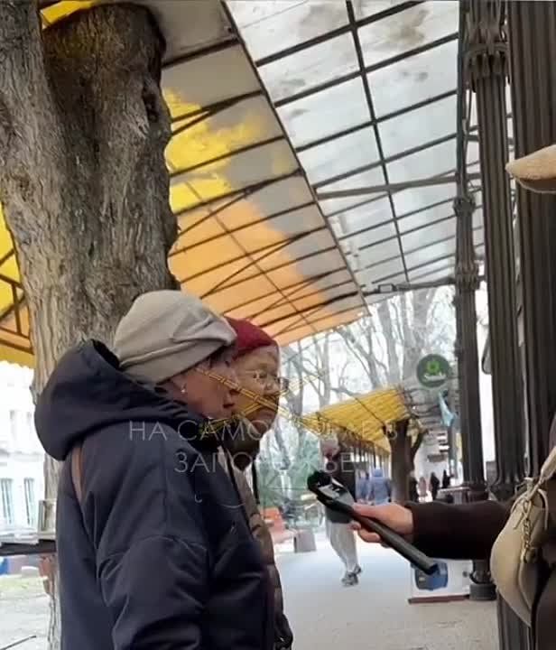 ���� ������� �����, �������� ���� ���������