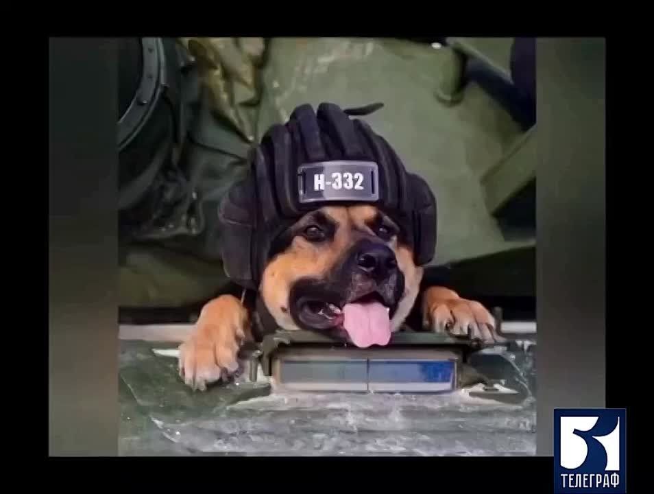 �� ������ ����? ���� �������, ��� �������, ������ ��� ������� � ������� ����� ������ ����� ������ � ��������� ������