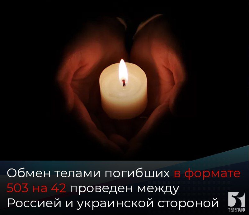 ����� ������ �������� � ������� 503 �� 42 �������� ����� ������� � ���������� ��������