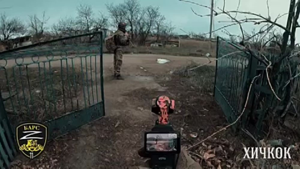 ����������� �����, ������� 2024