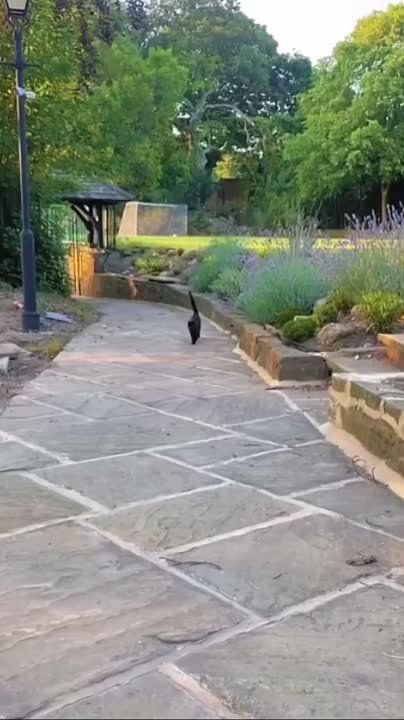 ������������� ������ �������� � ��� �������