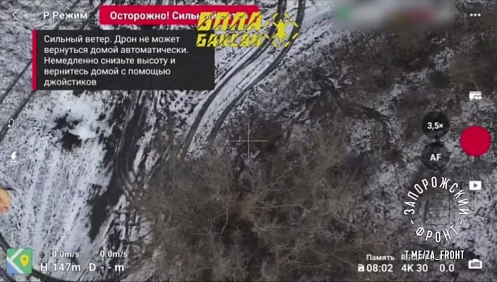 ��������� ������ �� ������ "������" ���������� ����� ���� ���������� �� ������� �����������