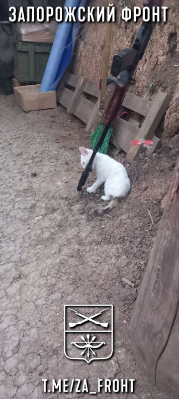 ���� ������� ���� � ������������ �����������