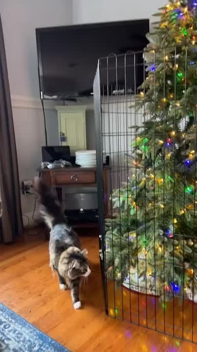 ���������� ������� ��������� ����������, ������� ������ �� ����� �������� ������ ���� ���������� ���������-����, � ��� ����� �� ���� ����������������?)))