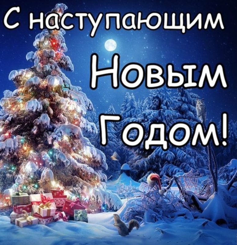 Поздравление Председателя СОЦПРОФ Сергея Вострецова с наступающим Новым Годом