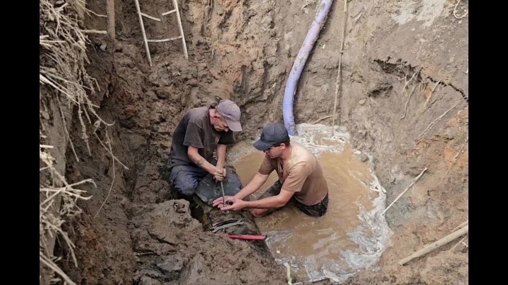 ������������ � ����������� 2025 ����� �����, �� �.� ����������� ���������� ���������������� ������ �. ������������ ��������� ����� �����������