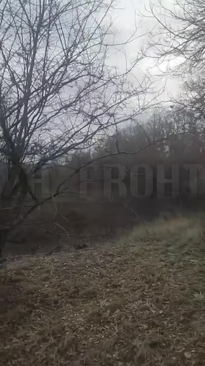 ���� ���������� ������ �� ������� ����������
