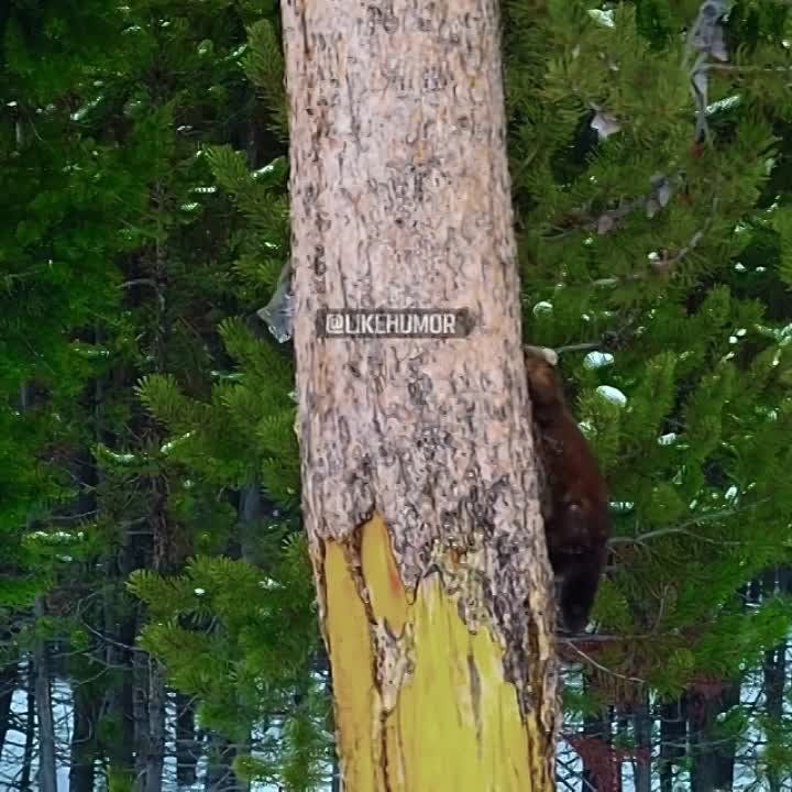 � �������������� ������������ ����� ���������� ��������� ��� 45 ����� ������ �������� �� ������, �� � ����� ����� ������� �������