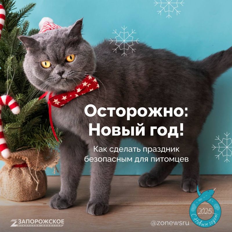�����, ������ � ��� � �� ���������� ����������, ���� ������ �� ����� ������� � �������, � � ��������� ������� � �������� ����� ��-��-��