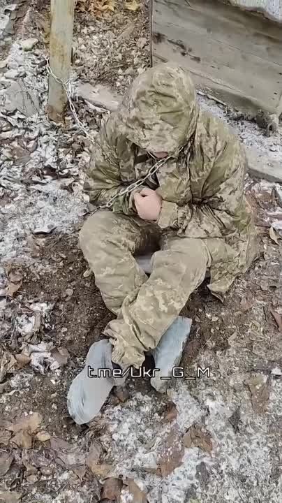���������� ������� "���������� ���������� ���"