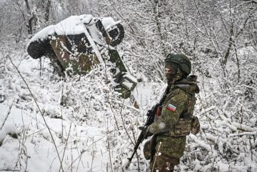 Владимир Рогов: Очередное безумное самоубийство боевиков ЗеРейха