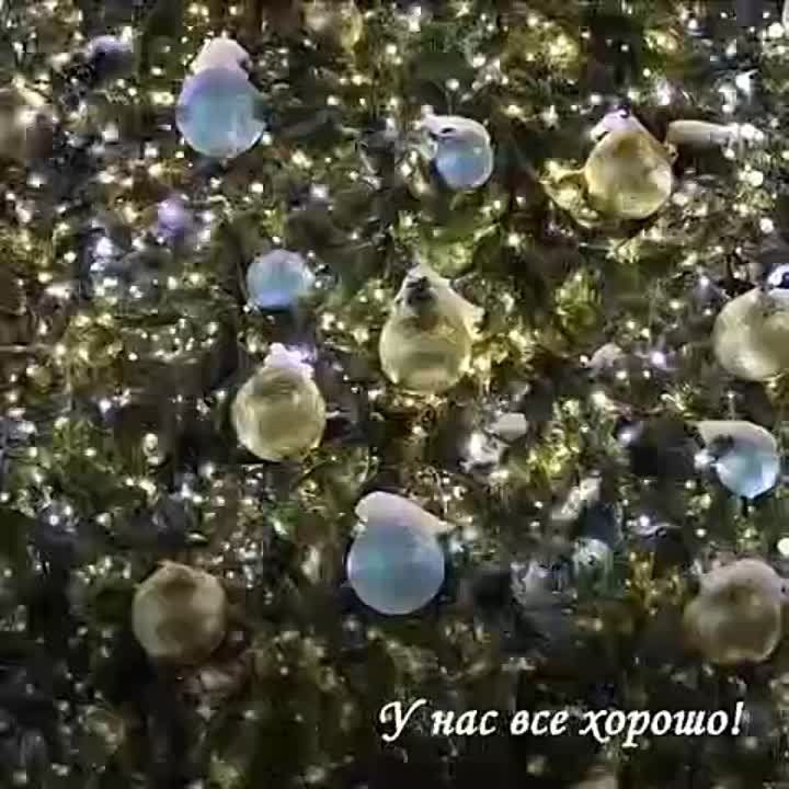 "������ ������"