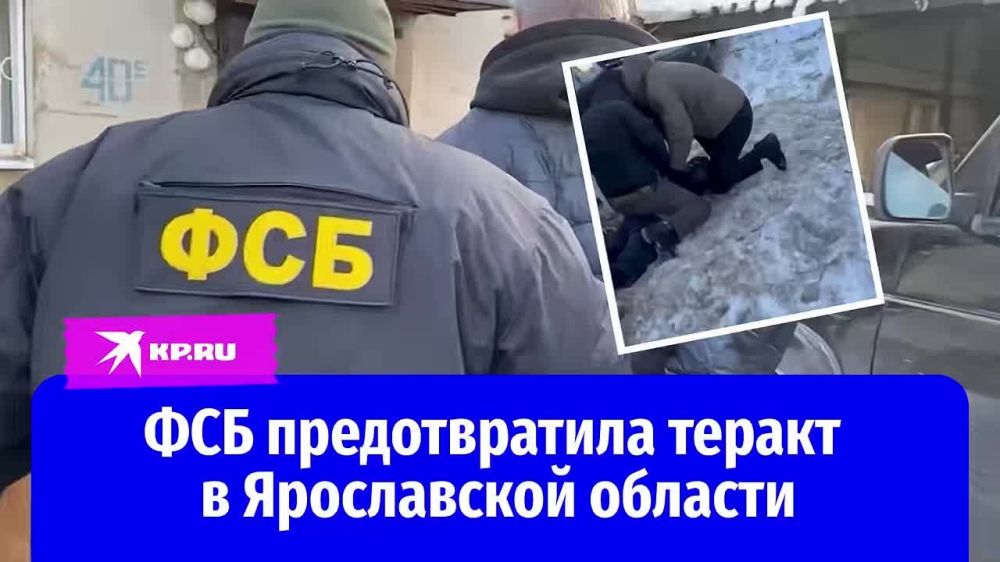 ���������� ���������� �������� ������ � ������������ ����������: �� ���� ���� ������������ ������ ������� ��������