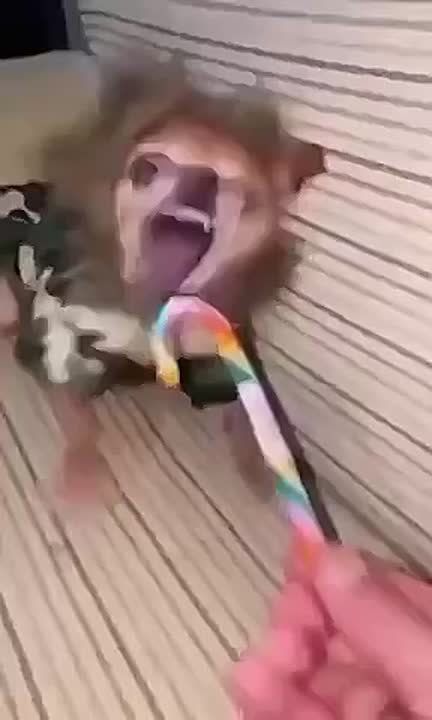 ��� ��������� �������� ��������� �� ������ �������� � �����������?