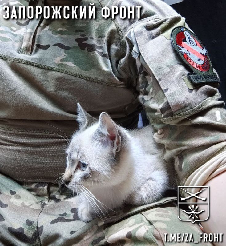 ���� ������� ���� � ������������ �����������