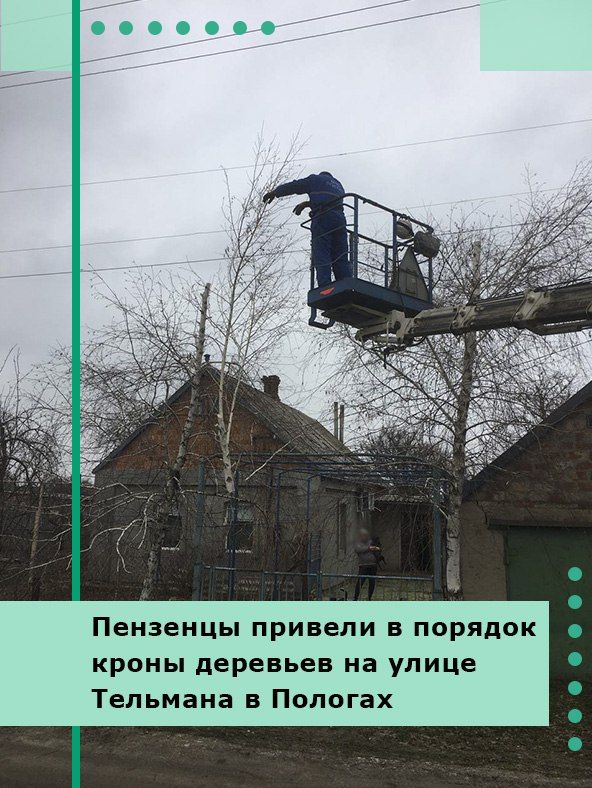 Пензенцы привели в порядок кроны деревьев на улице Тельмана в Пологах