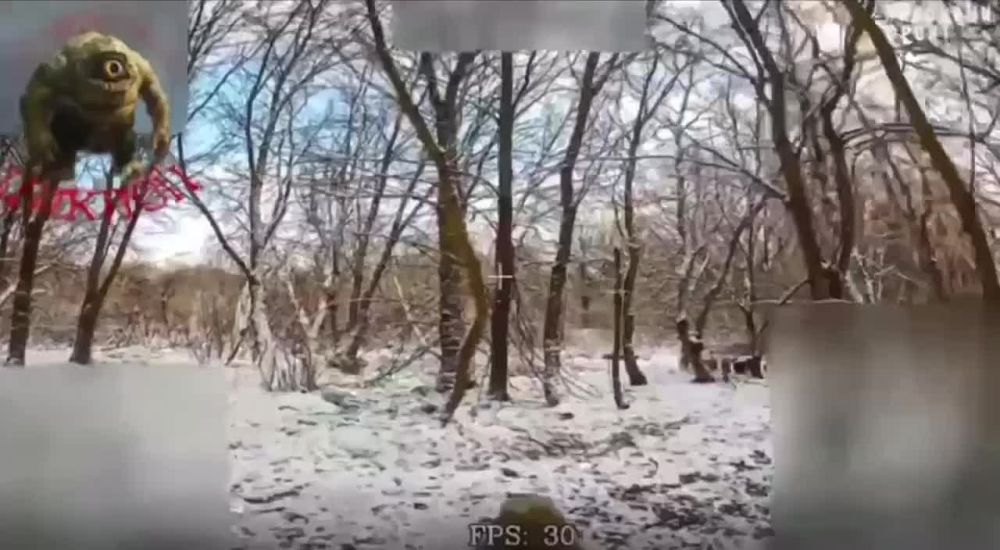 ���������� ��������� FPV-������ �� ����������� ���������� ������������ �������� FMTV M1083, ��������� ������� � HMMWV ��� � ����������� ������� �������