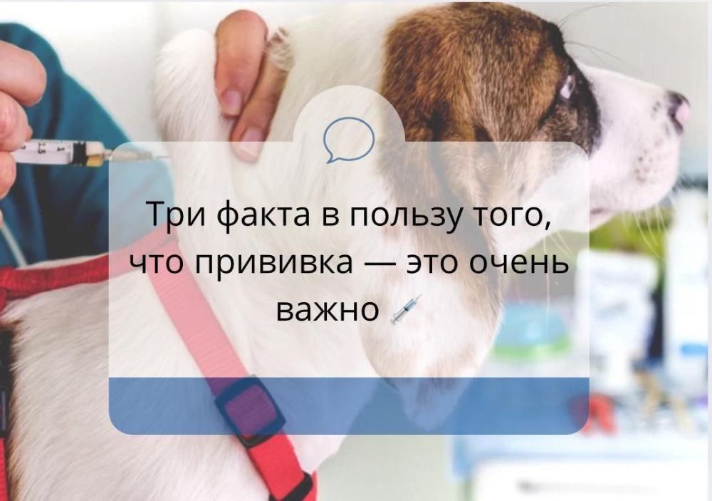 ��� ����� � ������ ����, ��� �������� � ��� ����� �����