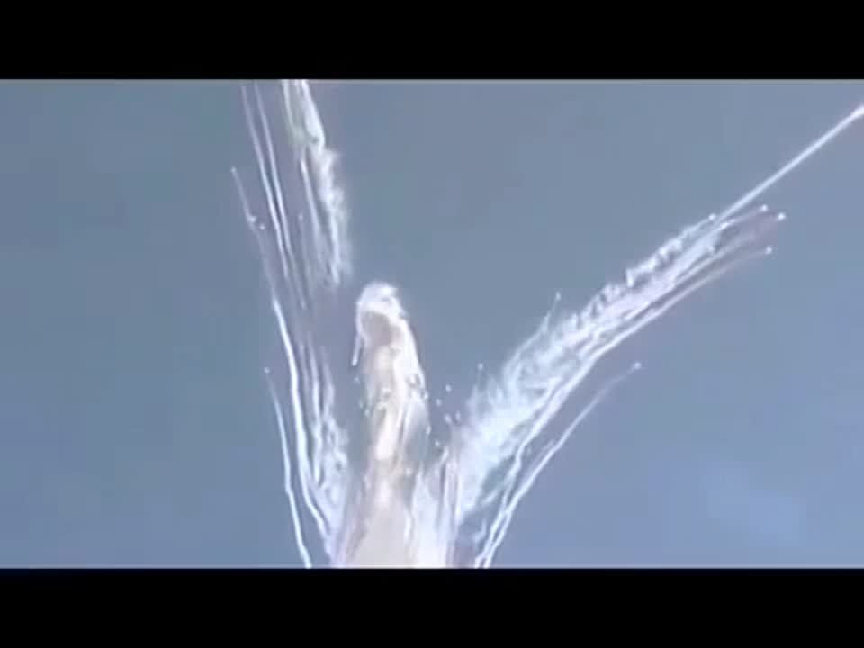 �������� �������� � ����������� ������� �������� ������ �� "������� �������"