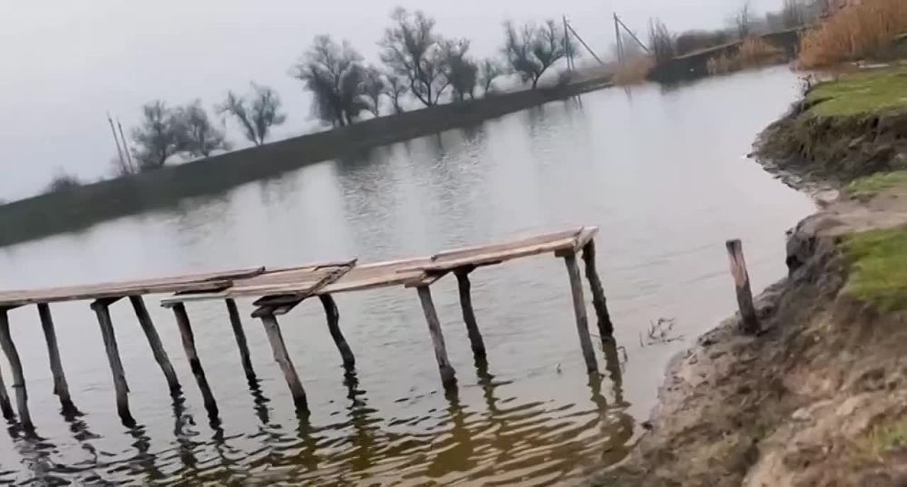 ������ ������: ���������, ����� ���� � �������������� ������