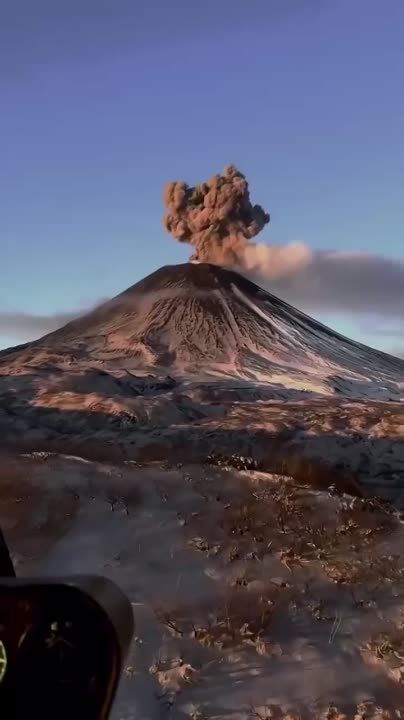 ��� �� ���� �� ����� �������� �������� ���� � ��������� ����� �� �������� � ������� ����