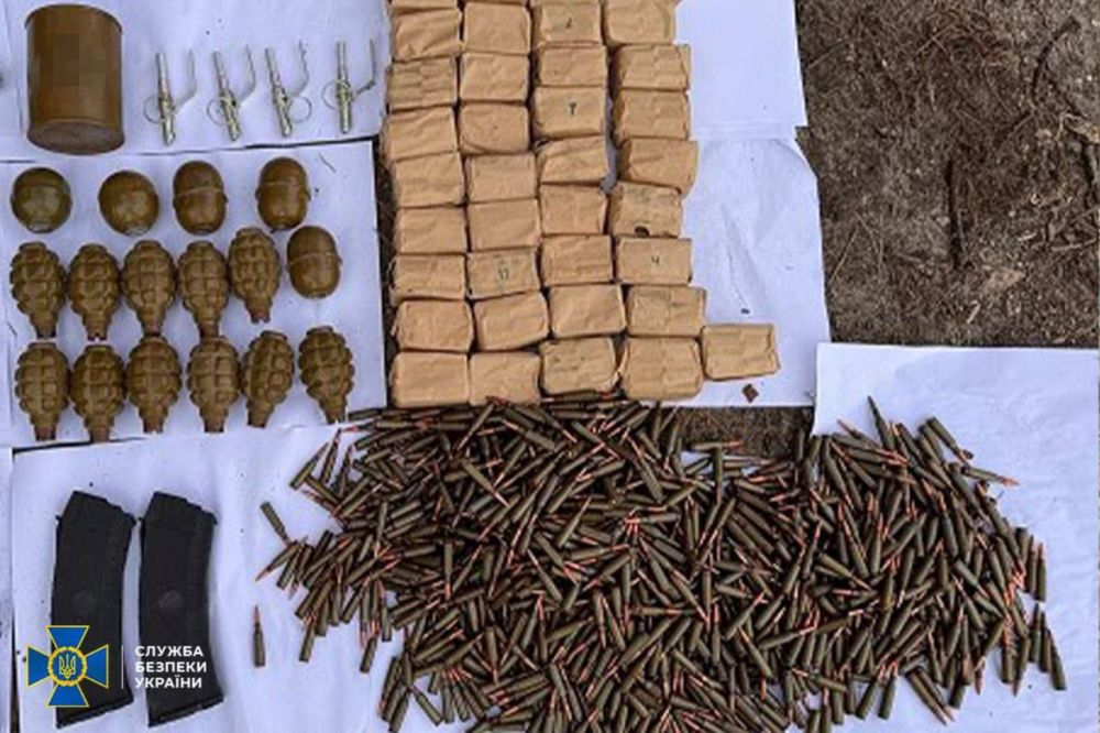 ���� ������� ������������ �� ������������ ����������� ������� ������ � 4-� �������� �������: ��������� 15 �������������