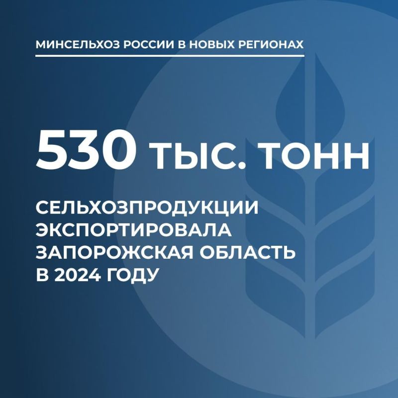����� �������� ���������������� �� ����������� ������� � 2024 ���� �������� 530 ���