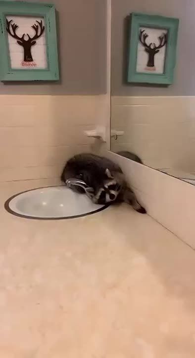 ������ ����, ������! �������� ��� ��� � ��������� ����������!